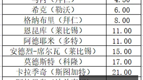 罗被罚详情揭晓：葡萄牙巧妙为他铺路